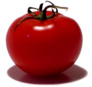 tomatoepicture.jpg